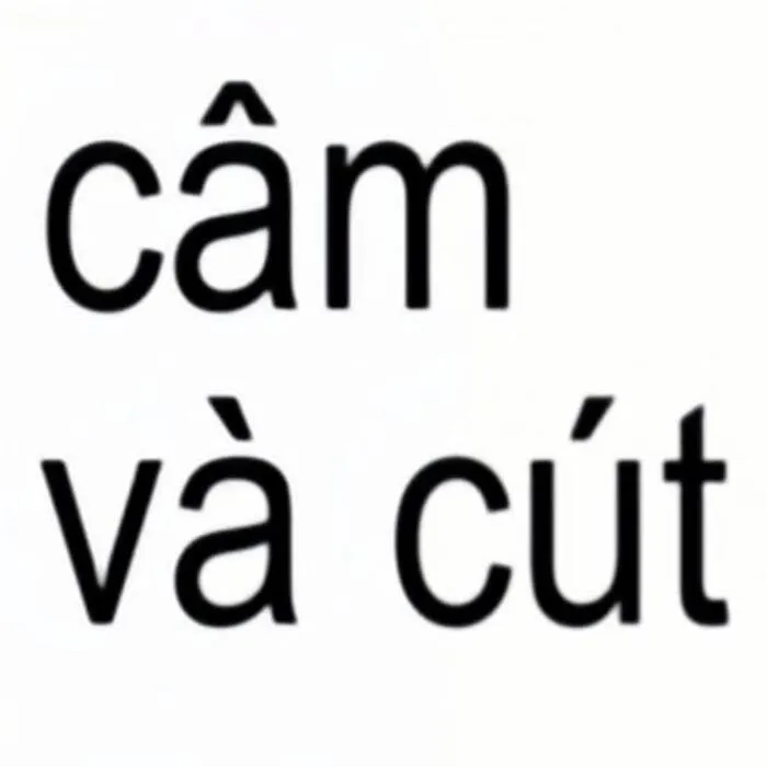 Khám phá 100+ meme font độc đáo, viral nhất bạn nên biết