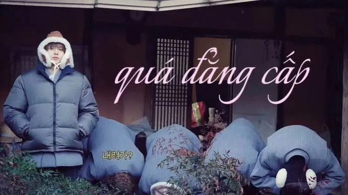 Khám phá 100+ meme font độc đáo, viral nhất bạn nên biết