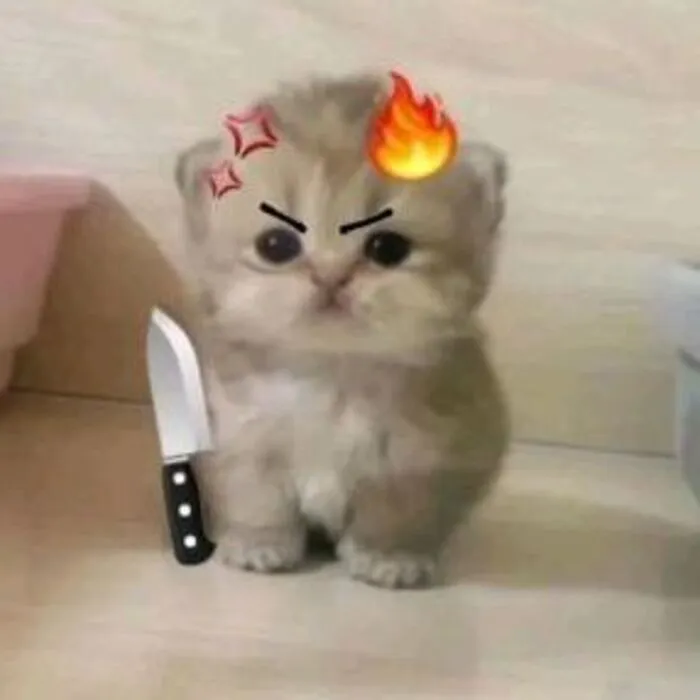 Tuyển chọn 145+ meme giận dữ cực hài, bạn đã xem chưa?