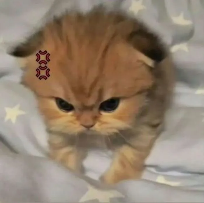 Tuyển chọn 145+ meme giận dữ cực hài, bạn đã xem chưa?