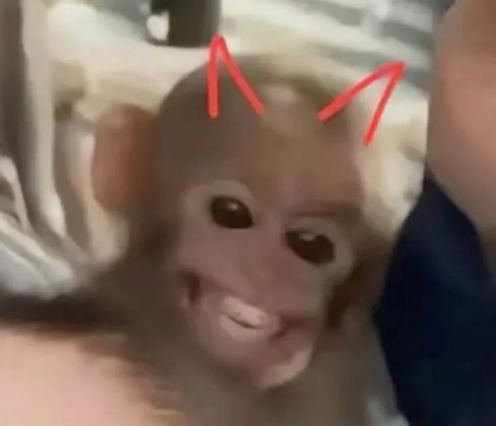 Tuyển chọn 145+ meme giận dữ cực hài, bạn đã xem chưa?