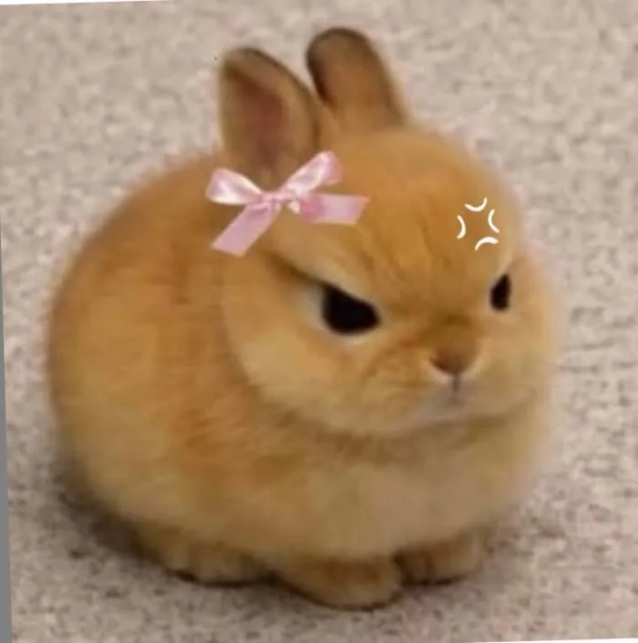 Tuyển chọn 145+ meme giận dữ cực hài, bạn đã xem chưa?
