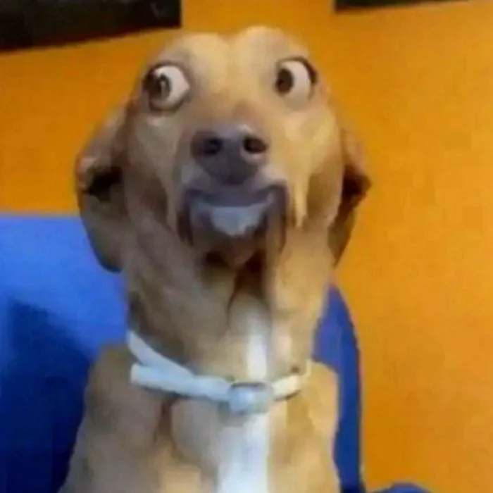 Khám phá 185+ meme hoang mang đỉnh cao, cười ra nước mắt