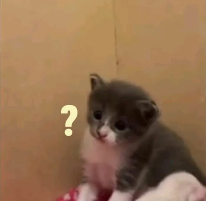 Tổng hợp 145+ meme hỏi chấm gây bão mạng xã hội