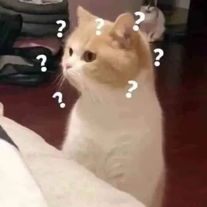 Tổng hợp 145+ meme hỏi chấm gây bão mạng xã hội
