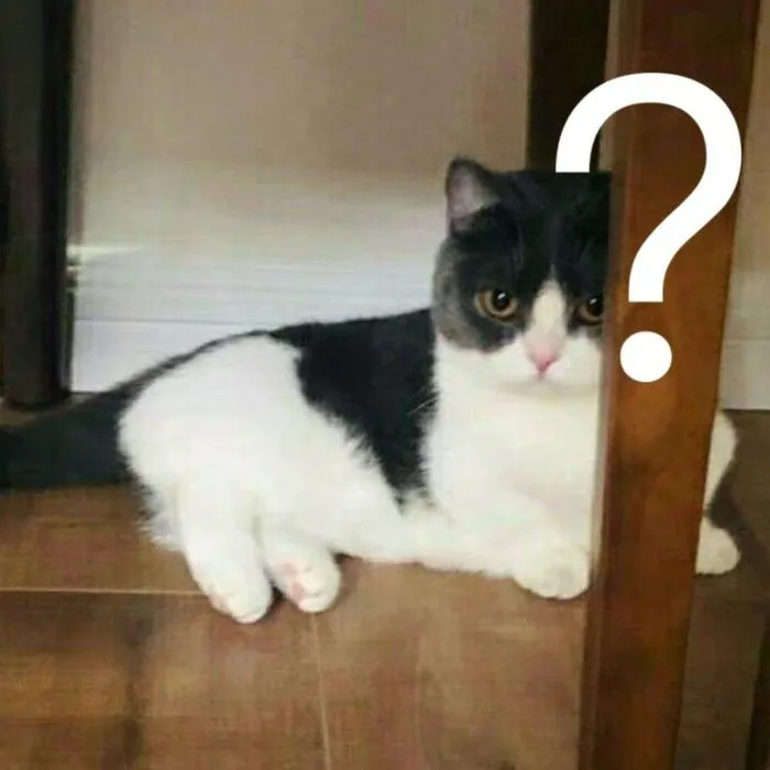 Tổng hợp 145+ meme hỏi chấm gây bão mạng xã hội