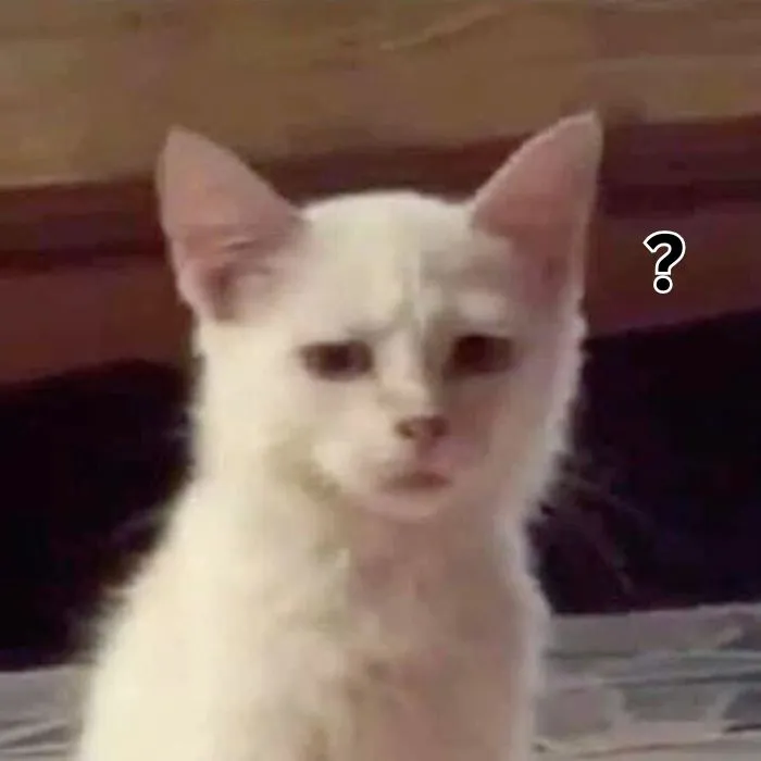 Tổng hợp 145+ meme hỏi chấm gây bão mạng xã hội