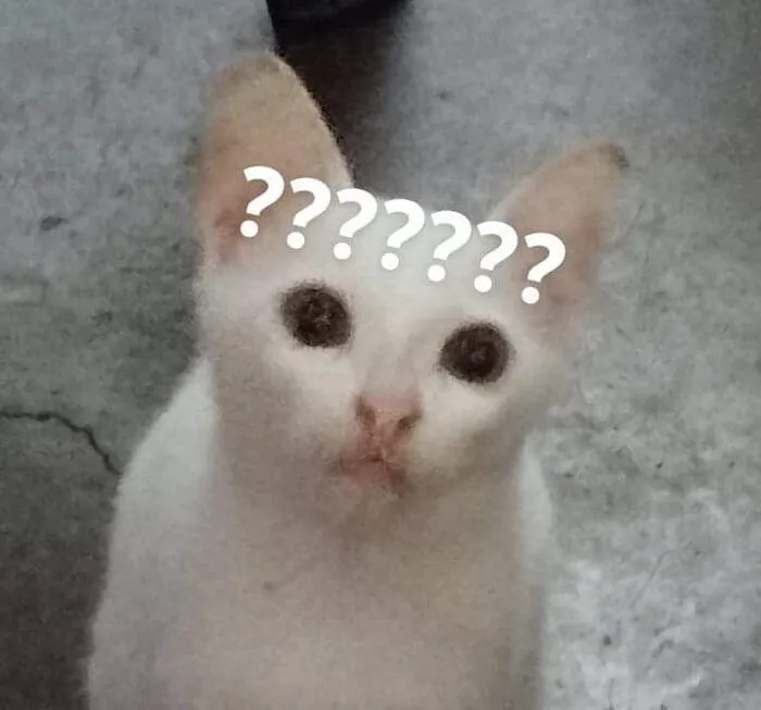 Tổng hợp 145+ meme hỏi chấm gây bão mạng xã hội
