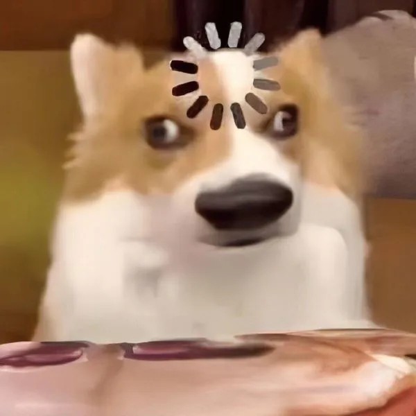 Tổng hợp 187+ meme hốt hoảng khiến bạn cười ra nước mắt