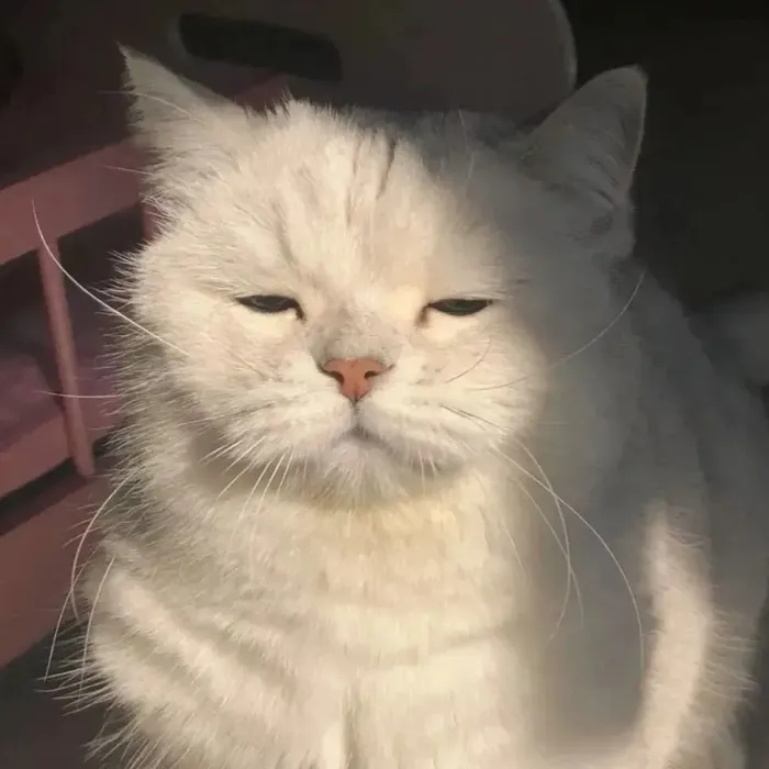 Khám phá 99+ meme kh chữ độc đáo, hài hước nhất hiện nay