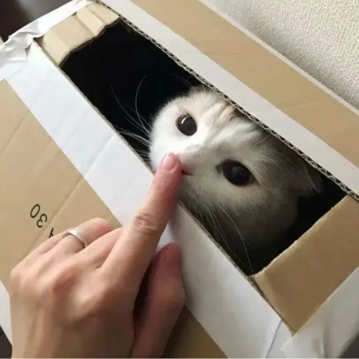 Khám phá 99+ meme kh chữ độc đáo, hài hước nhất hiện nay Khám phá 99+ meme kh chữ độc đáo, hài hước nhất hiện nay