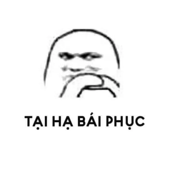 Tuyển tập 189+ meme lạy đỉnh cao, cười ra nước mắt