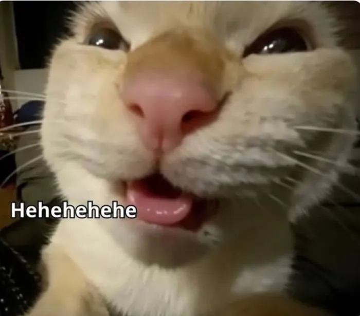 Khám phá 147+ meme lêu lêu hài hước, siêu độc đáo Khám phá 147+ meme lêu lêu hài hước, siêu độc đáo