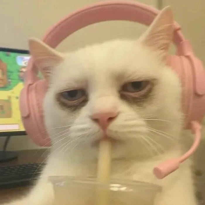 Top 145+ meme mệt mỏi hài hước, cực relatable cho dân văn phòng