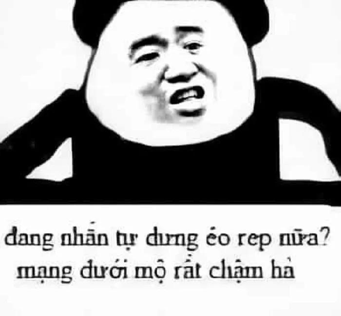 Những meme nghi ngờ khiến bạn bật cười