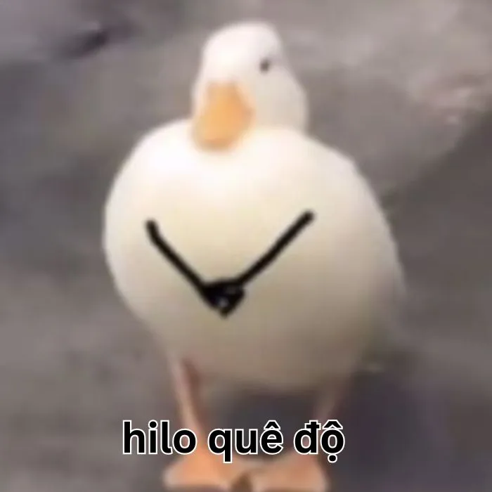 Tuyển tập 218+ meme quê bá đạo, cười ra nước mắt
