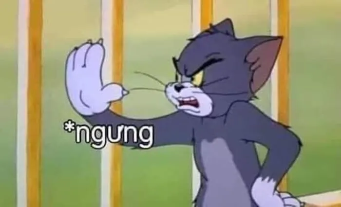 Hơn 99+ meme tom hài hước: Tổng hợp khoảnh khắc 'cười ra nước mắt'