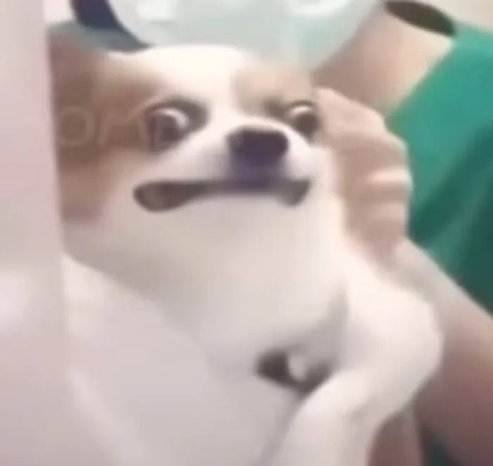 Top 99+ meme suy nghĩ hài hước, cười ra nước mắt Top 99+ meme suy nghĩ hài hước, cười ra nước mắt
