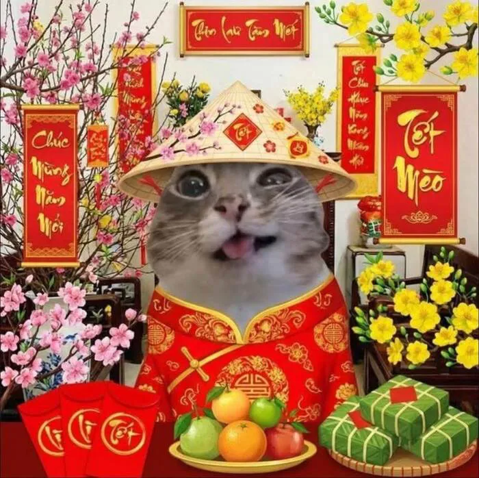 Top 145+ meme tết độc đáo, giải trí cực đỉnh ngày xuân