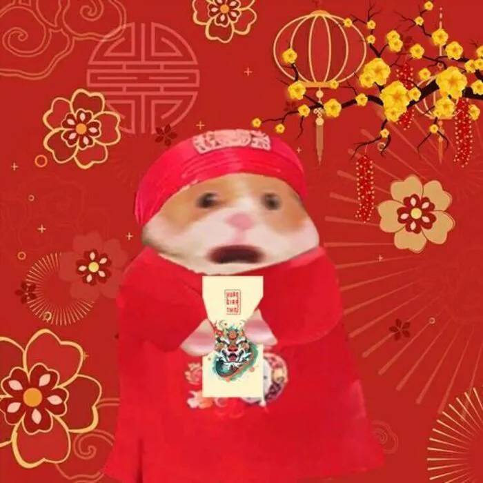 Top 145+ meme tết độc đáo, giải trí cực đỉnh ngày xuân