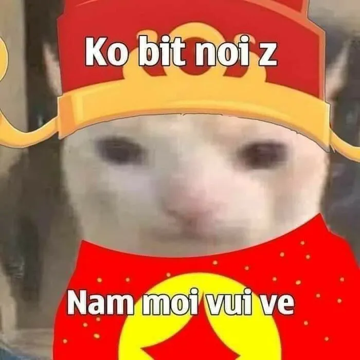 Top 145+ meme tết độc đáo, giải trí cực đỉnh ngày xuân
