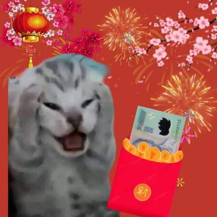 Top 145+ meme tết độc đáo, giải trí cực đỉnh ngày xuân