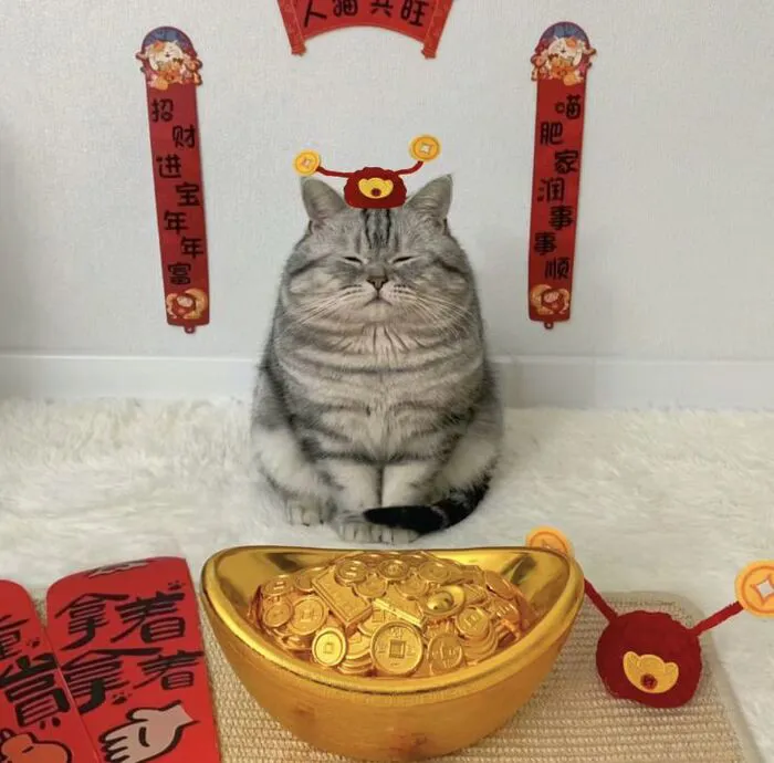 Top 145+ meme tết độc đáo, giải trí cực đỉnh ngày xuân
