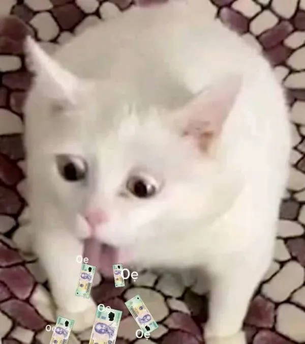120+ meme tiền hài hước, vui nhộn: Cười thả ga cùng topanhanime.com 120+ meme tiền hài hước, vui nhộn: Cười thả ga cùng topanhanime.com