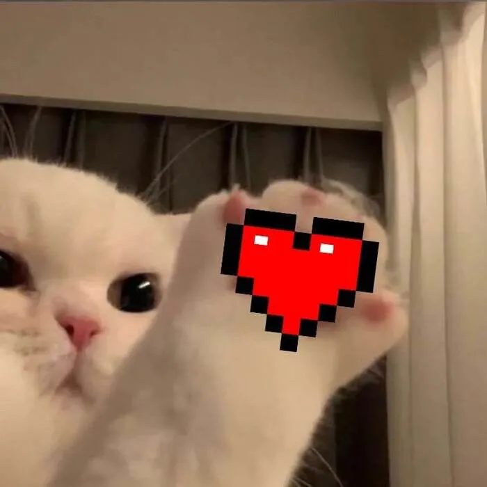 Bộ sưu tập 218+ meme tình yêu hài hước nhất mọi thời đại