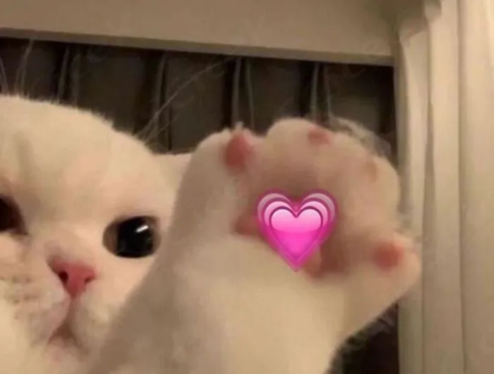 Bộ sưu tập 218+ meme tình yêu hài hước nhất mọi thời đại