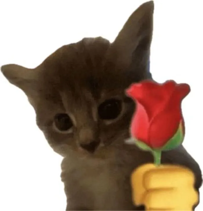 Bộ sưu tập 218+ meme tình yêu hài hước nhất mọi thời đại
