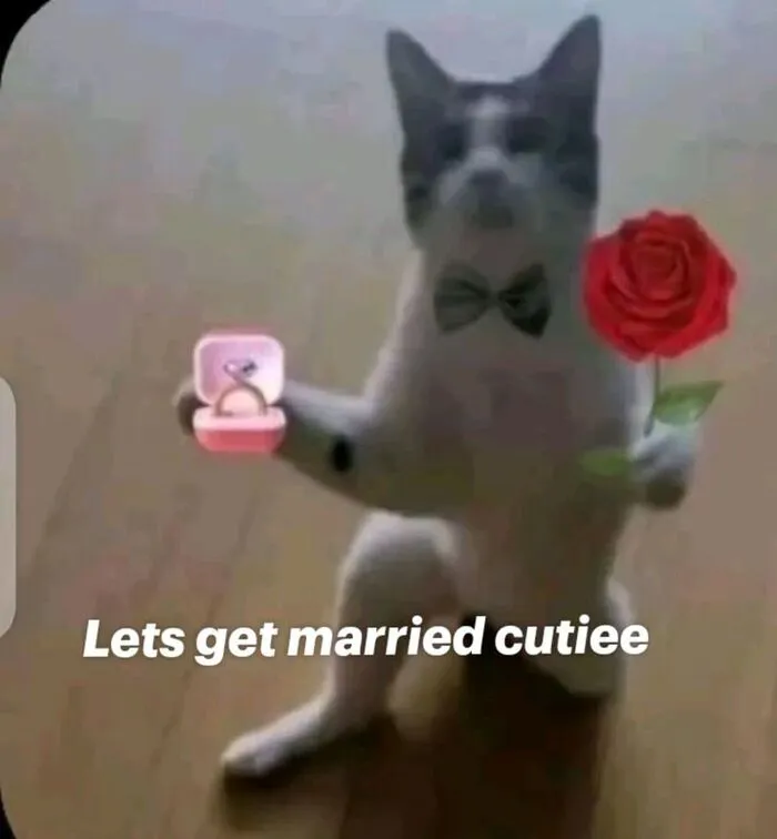 Bộ sưu tập 218+ meme tình yêu hài hước nhất mọi thời đại