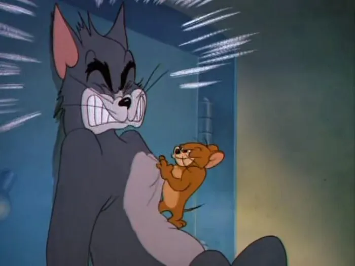 Top 158+ meme tom and jerry cực hài hước! Top 158+ meme tom and jerry cực hài hước!