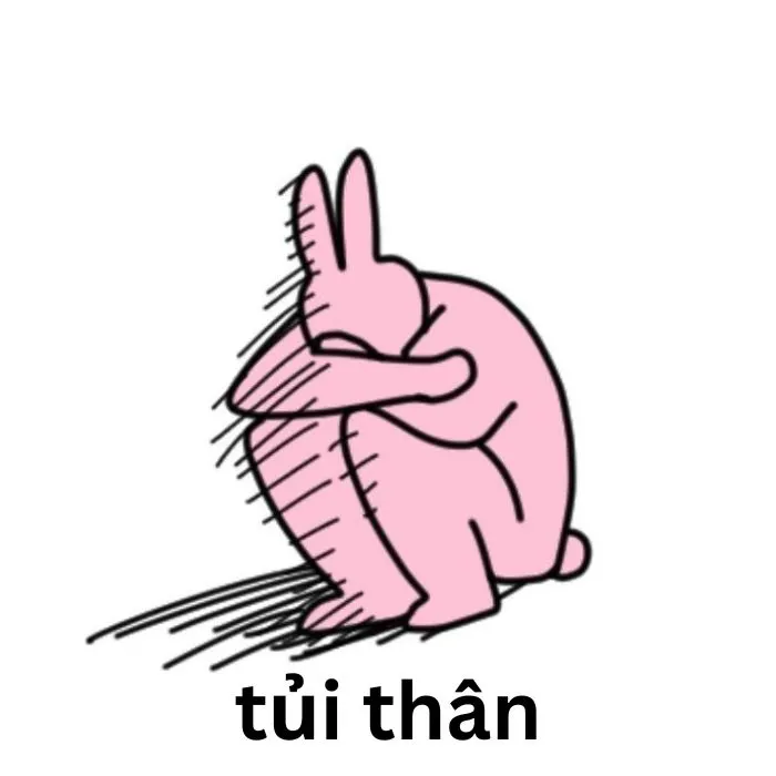 Tổng hợp 187+ meme tủi thân hài hước khiến bạn phải bật cười