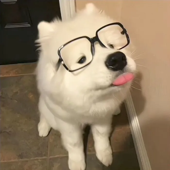 145+ meme vui cười thả ga, xả stress cực đỉnh