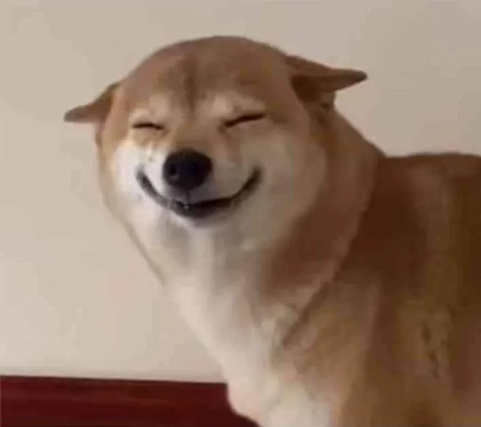 145+ meme vui cười thả ga, xả stress cực đỉnh