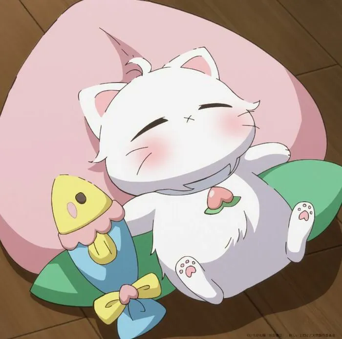138+ ảnh mèo Anime đáng yêu: Đốn tim fan cuồng! 138+ ảnh mèo Anime đáng yêu: Đốn tim fan cuồng!