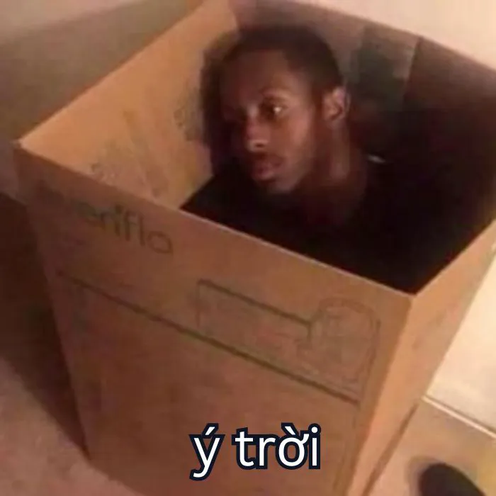 Tổng hợp 287+ ý trời meme, hài hước gây bão mạng
