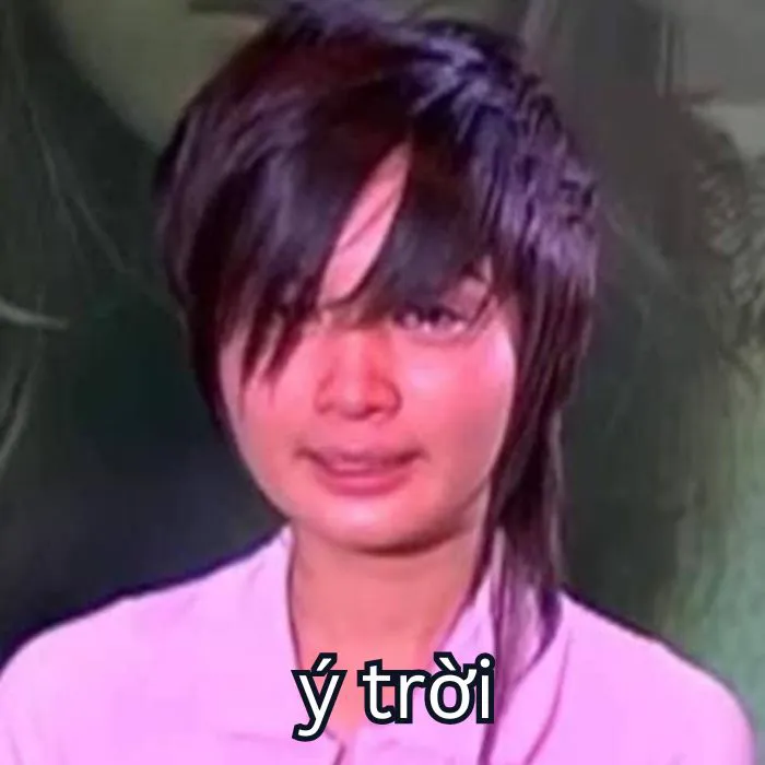 Tổng hợp 287+ ý trời meme, hài hước gây bão mạng
