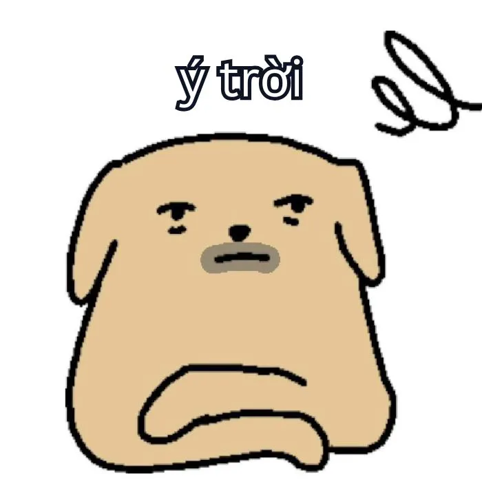 Tổng hợp 287+ ý trời meme, hài hước gây bão mạng