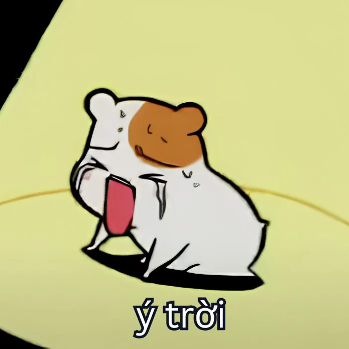 Tổng hợp 287+ ý trời meme, hài hước gây bão mạng