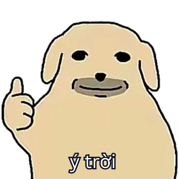 Tổng hợp 287+ ý trời meme, hài hước gây bão mạng