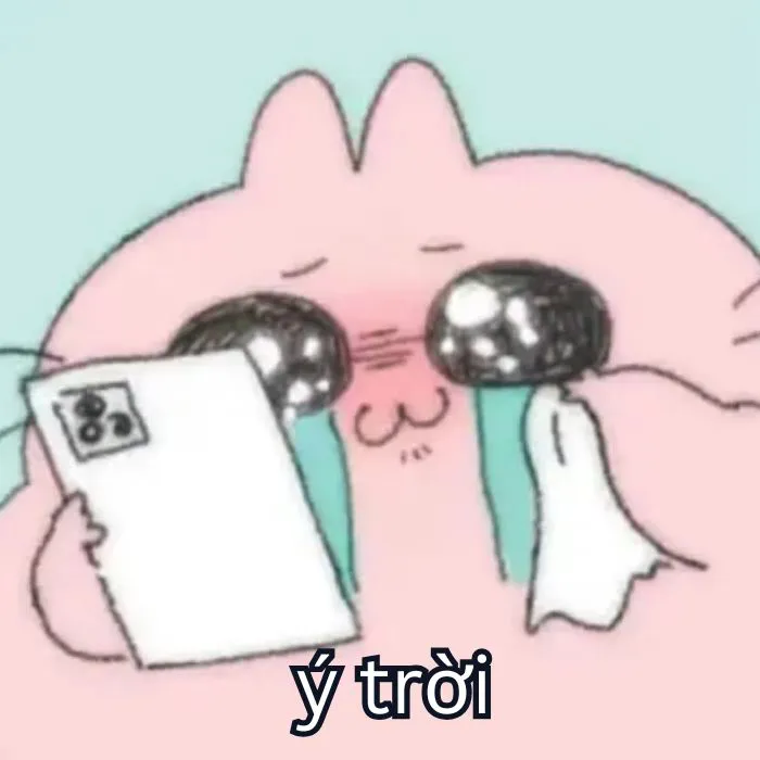 Tổng hợp 287+ ý trời meme, hài hước gây bão mạng