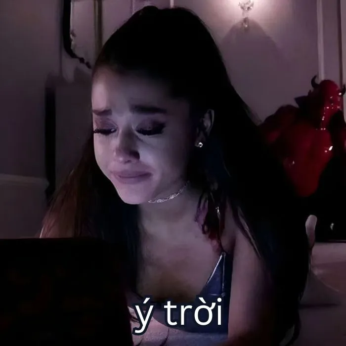 Tổng hợp 287+ ý trời meme, hài hước gây bão mạng