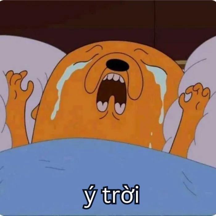 Tổng hợp 287+ ý trời meme, hài hước gây bão mạng