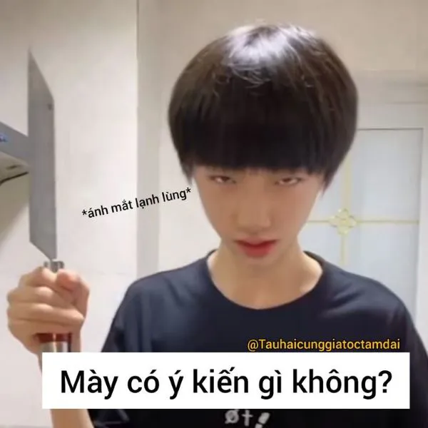 Khám phá vũ trụ 'bạn sợ à meme' với 185+ mẫu độc đáo