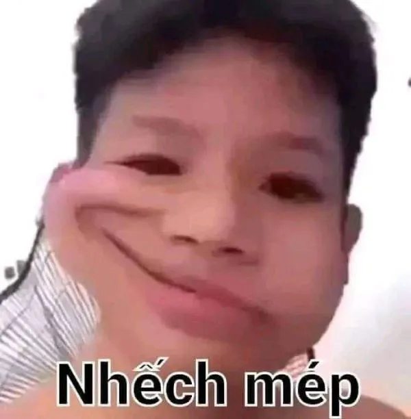Khám phá vũ trụ 'bạn sợ à meme' với 185+ mẫu độc đáo
