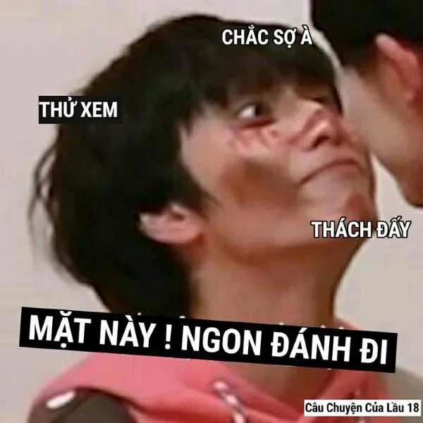 Khám phá vũ trụ 'bạn sợ à meme' với 185+ mẫu độc đáo
