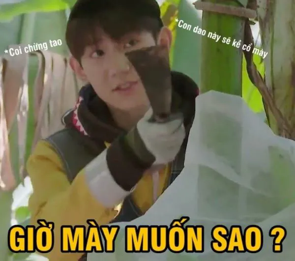 Khám phá vũ trụ 'bạn sợ à meme' với 185+ mẫu độc đáo