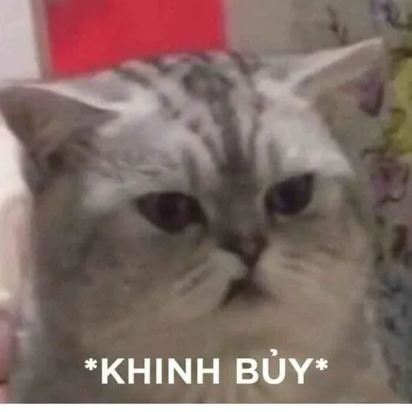 Khám phá vũ trụ 'bạn sợ à meme' với 185+ mẫu độc đáo